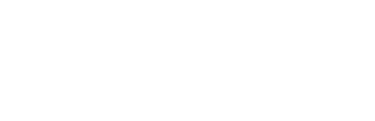 Platinum Tint & Accessories