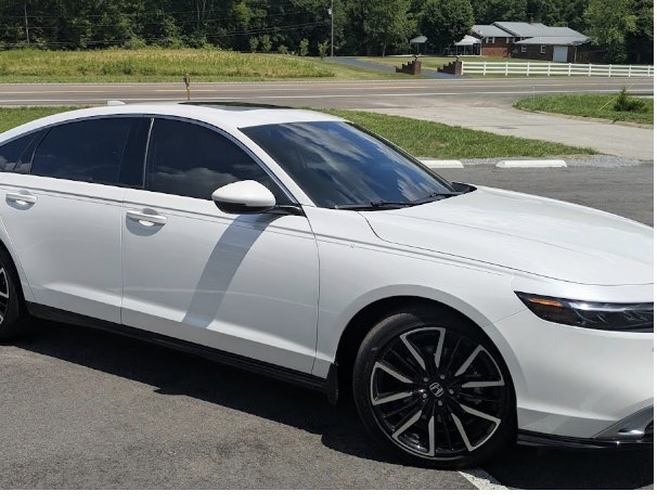 Susanne T. Wright customer-attached review photo